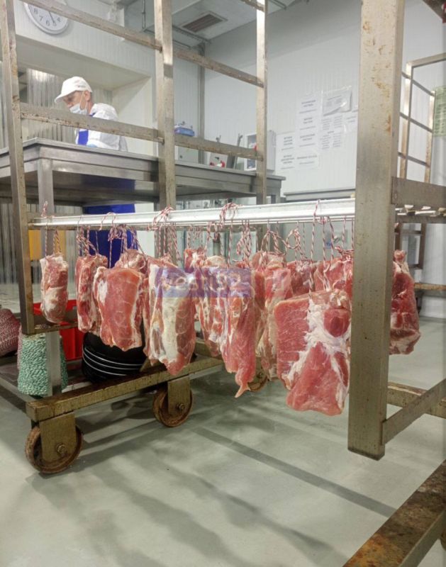 ����� 138 ��� ������ �������� ������� ������������ � �������� �������� �� ��������� 5 ���