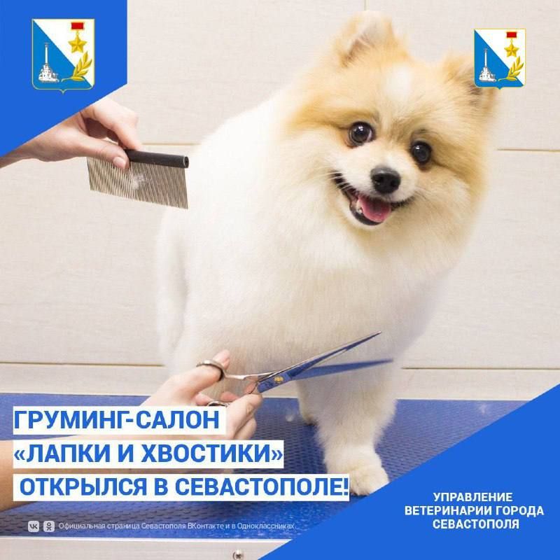 -   