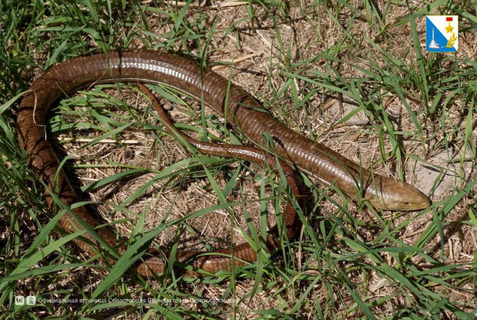 ��������, �� �������� ������������!