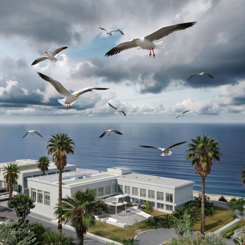 ������� ������ � ����� �� 2 ����