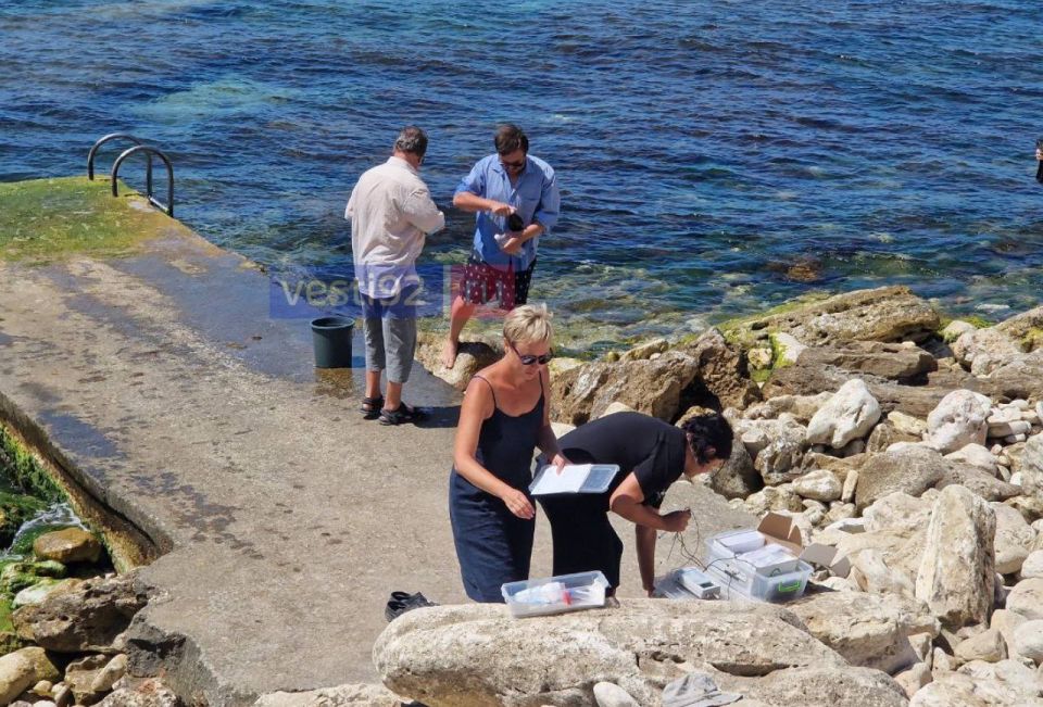 ��������� ����� ��������� �� ������� ����������� ������� ������