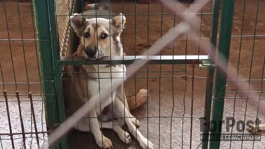 ��� ������, ��� �����: ����� ��� ����� � ����������� �������� ����� ������� ������ �������