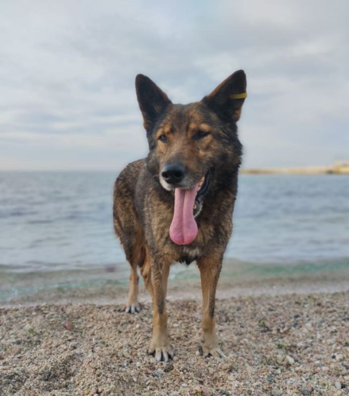 � 1 �������� � ������ ������ ������ �� ����� �������� �������� �� ������