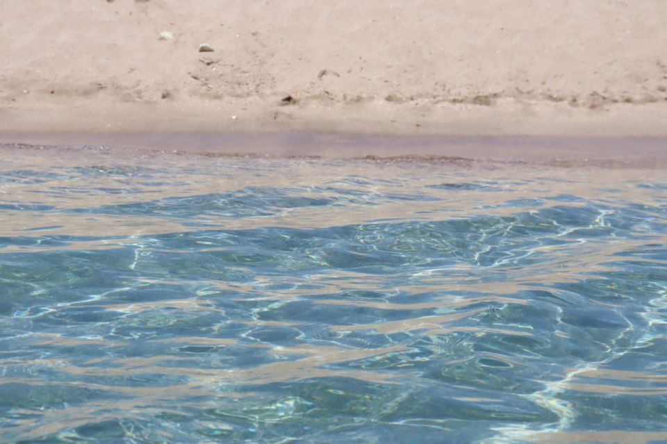 ���� � ������� ����� ������ ������������ � 9-10 ����