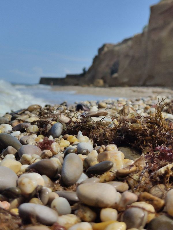 С добрым утром, друзья!. В четвертый рабочий день на неделе утром небольшой дождь, днем без осадков