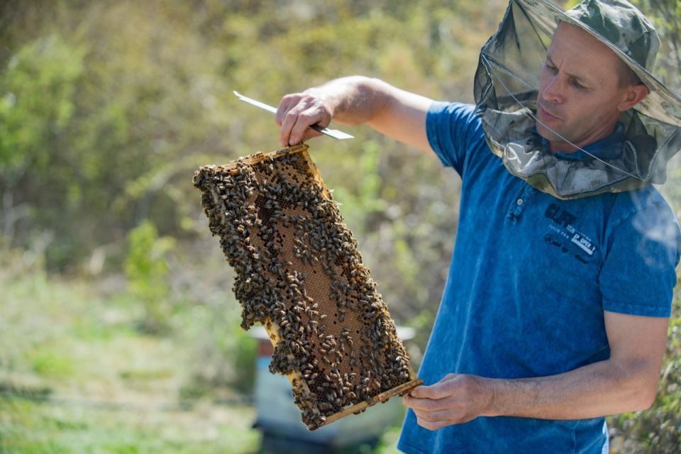 712 ��������� ������ �������� �� ��������� ������������������ ����������� �� ���� ���