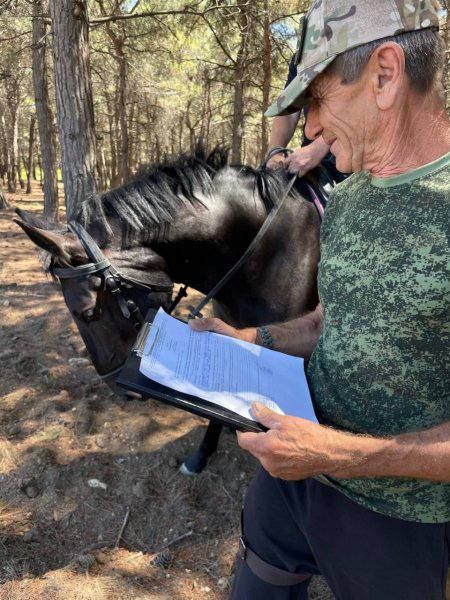 � ����������� ������������ �������� ��� �������������� ������ �������