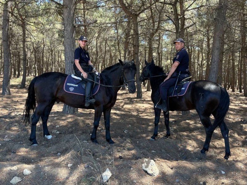 � ����� ����������� �������� ����� ��� ������������ �������