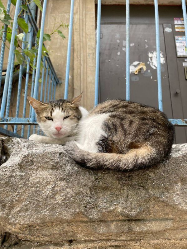 ������ �� �������� ����������� �������� ������������