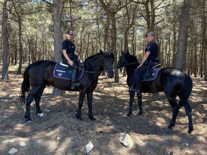 � ����������� ������������ �������� ��� �������������� ������ �������