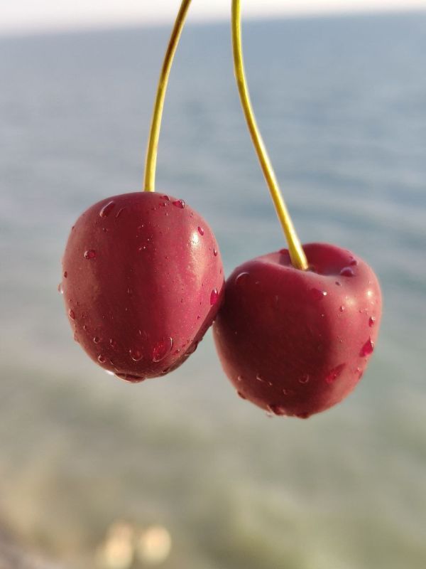 ������� ����. � ����������� � ������� ��� �������