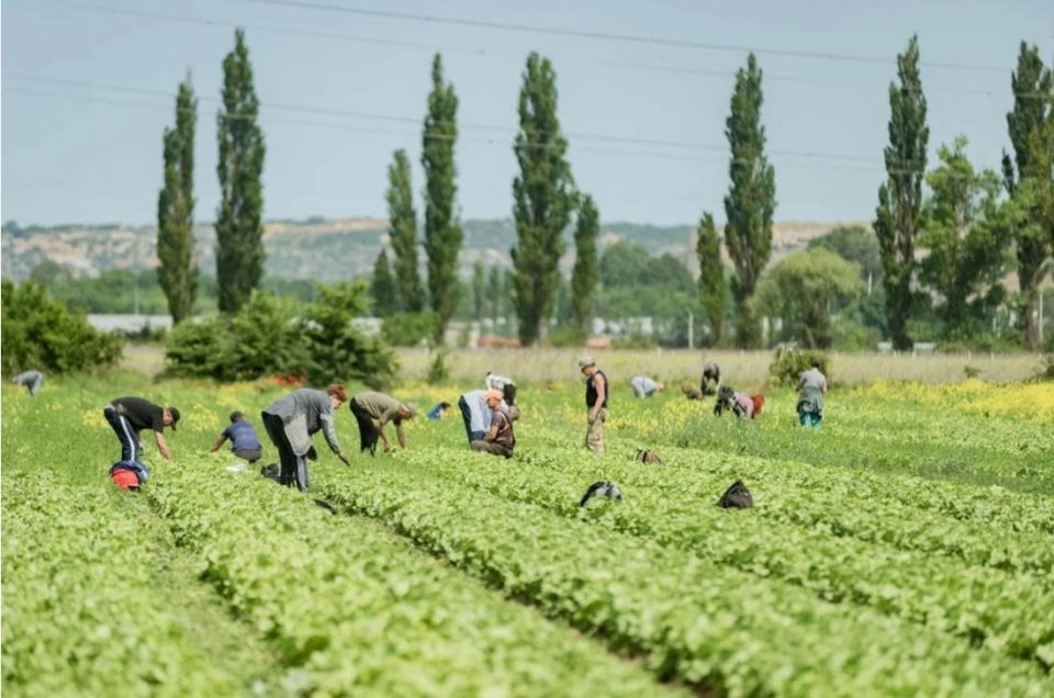 � ����������� ������� ������������ �������� � ���������