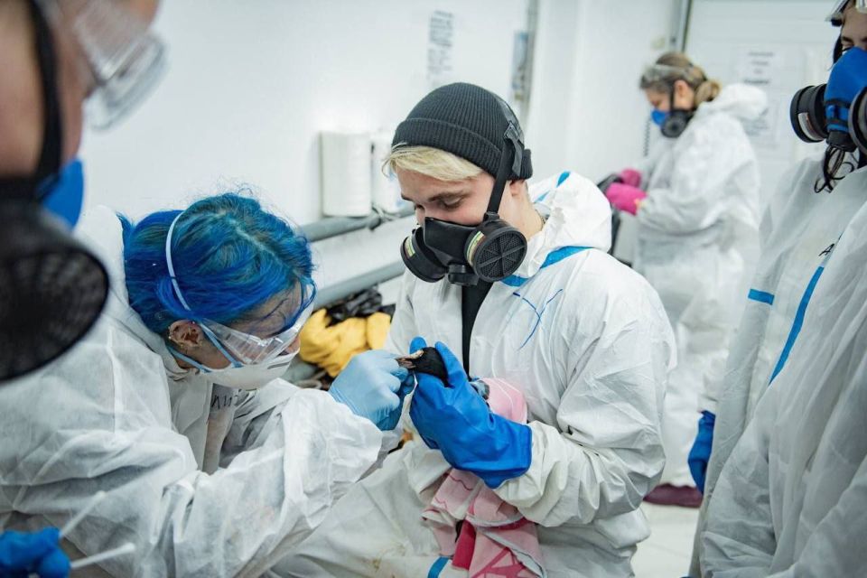 ���������������� ������������ �������� ������� ������ ������ ����������� 11 ���