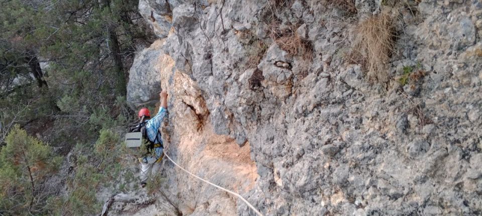 ��������� ��������-������������� ������������� "��" ������� �������� �������� �� ��������� ��������, ����������� � ������� �������� �� ���������� ��������� �������� �����������