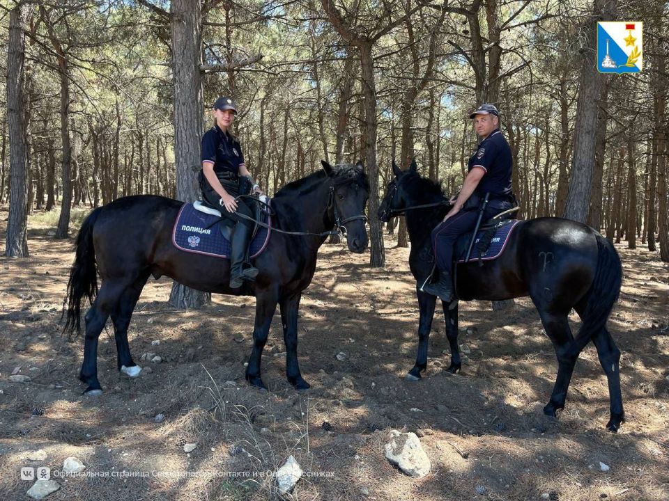 ���� �� ������ �����. � ������ ���������� �������� ��������� ������� � ������ ������� ��������� ��������� ������� ����, ����� ������������� ��������� ����������