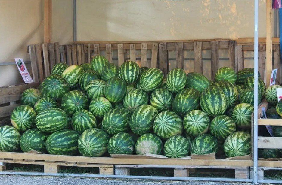 � ����������� ��������� ������ ����������������� ������