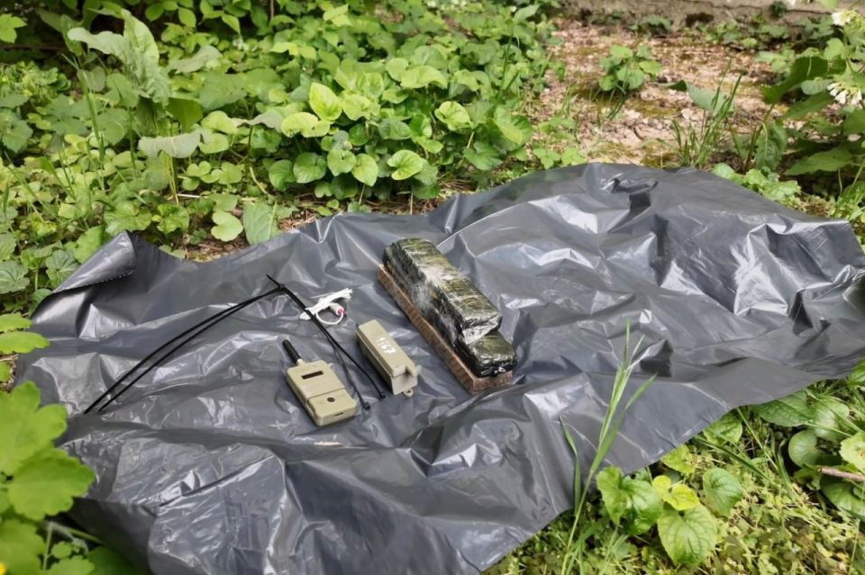 ���� ������� ����� ����� ������ �� �������������� � ����������� ������������