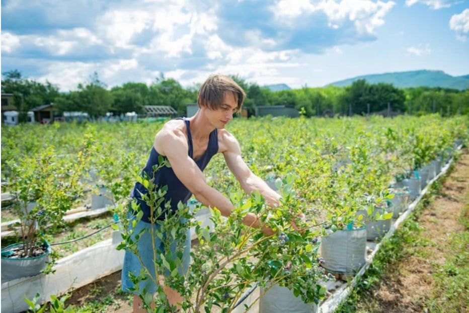 � ����������� ������� ������������ �������� � ���������