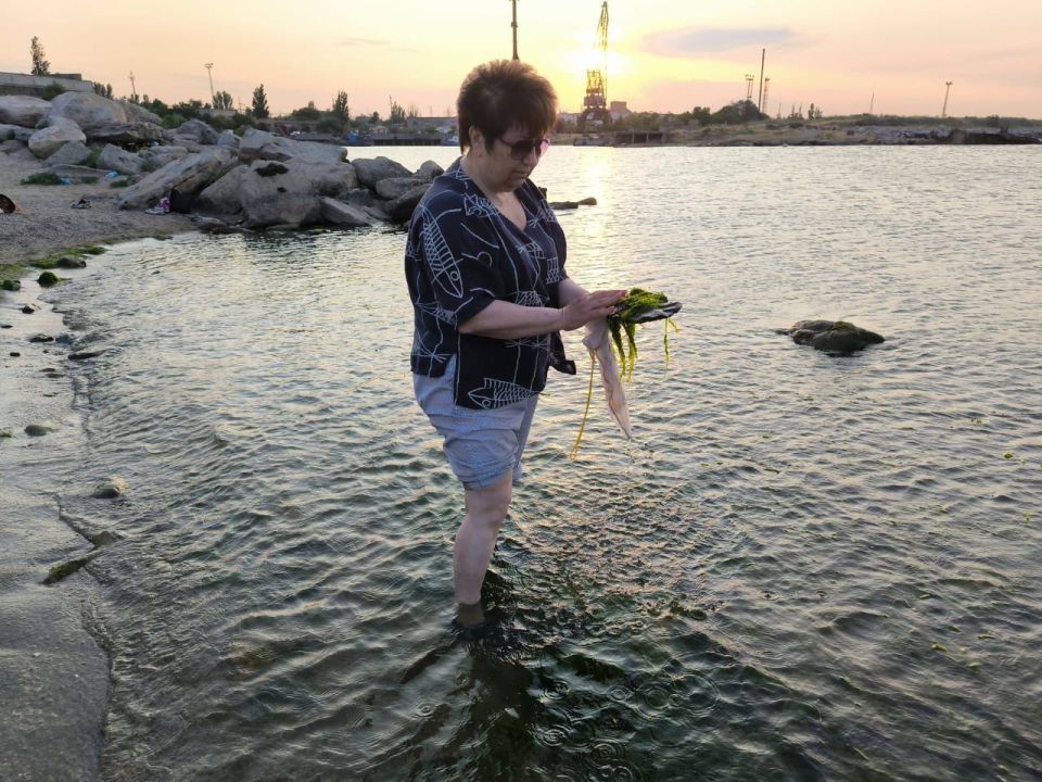 ��������������� ������ ��������� ����� ����������� ����