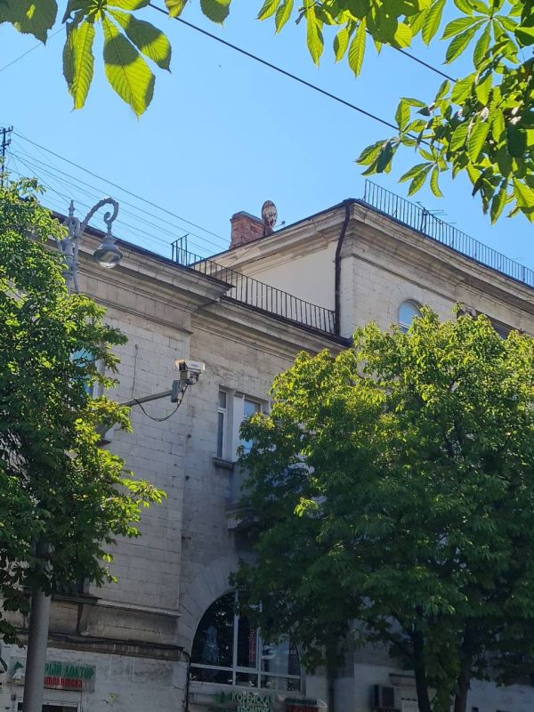 ������ �� �������� ����������� �������� ������������