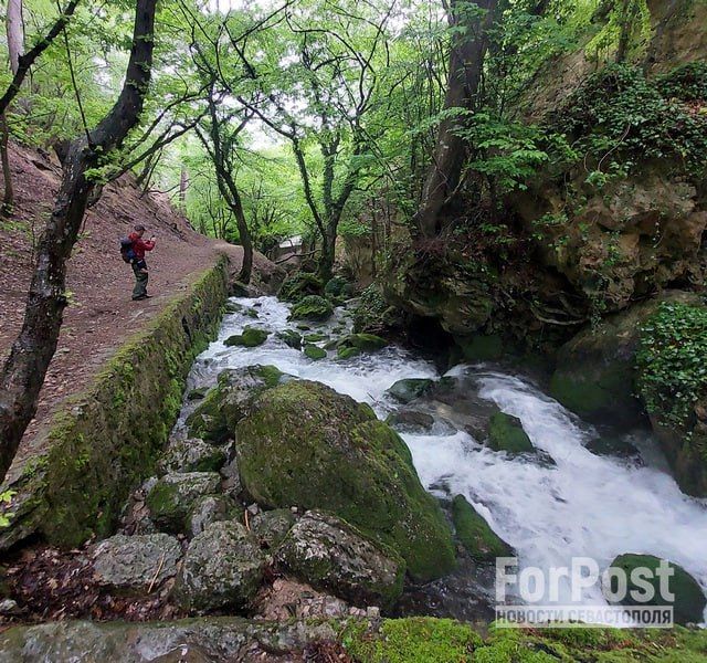 � �������� ��������������� ��������, ��� �������� ���������� ����� ������������� ����� XIV ���� � ���������� ����������, ����� �������� ������ � ����� ��������������� ����