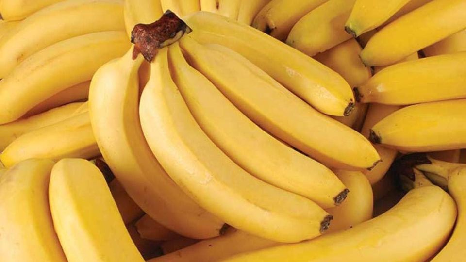 � ������ � �������� �������������������� ��������� �������� ������