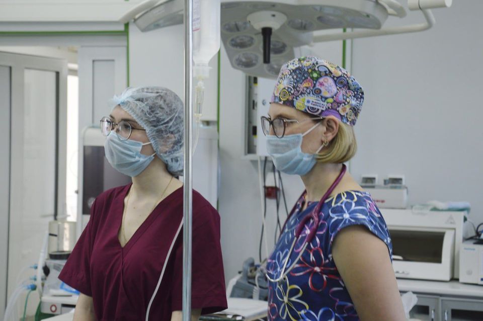 ��������������� ����� ������� ���������� �������� ������