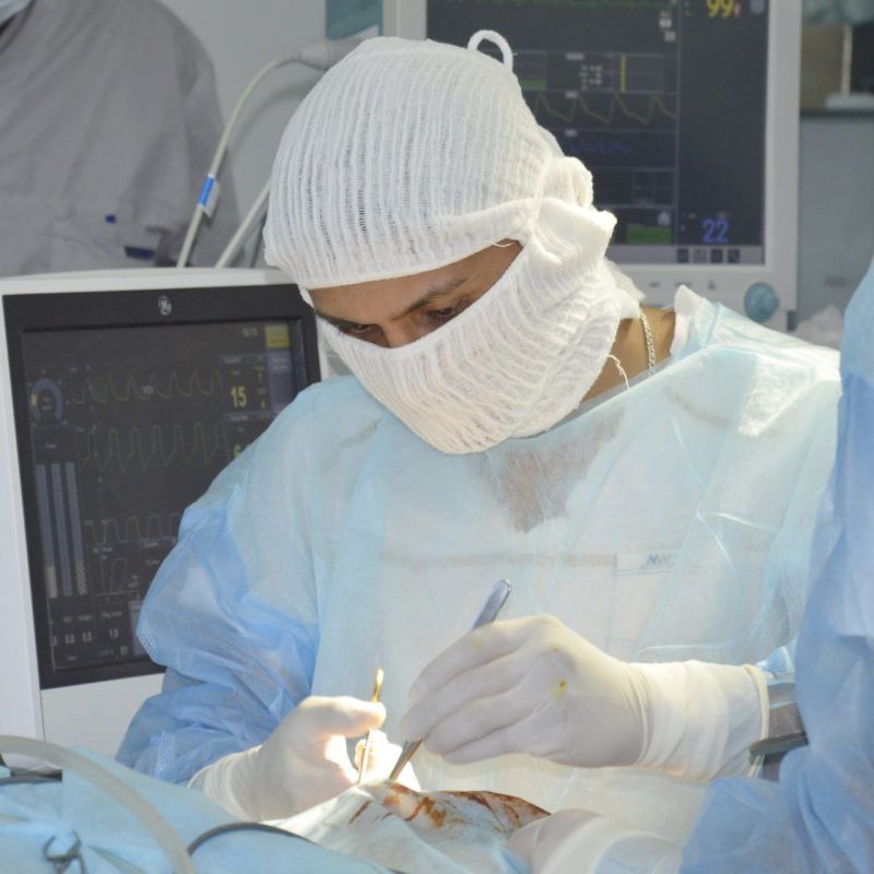 ��������������� ����� ������� ���������� �������� ������