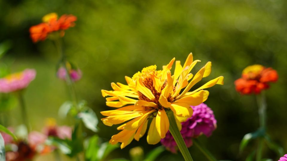 ������� ������ � ����� �� 5 ����