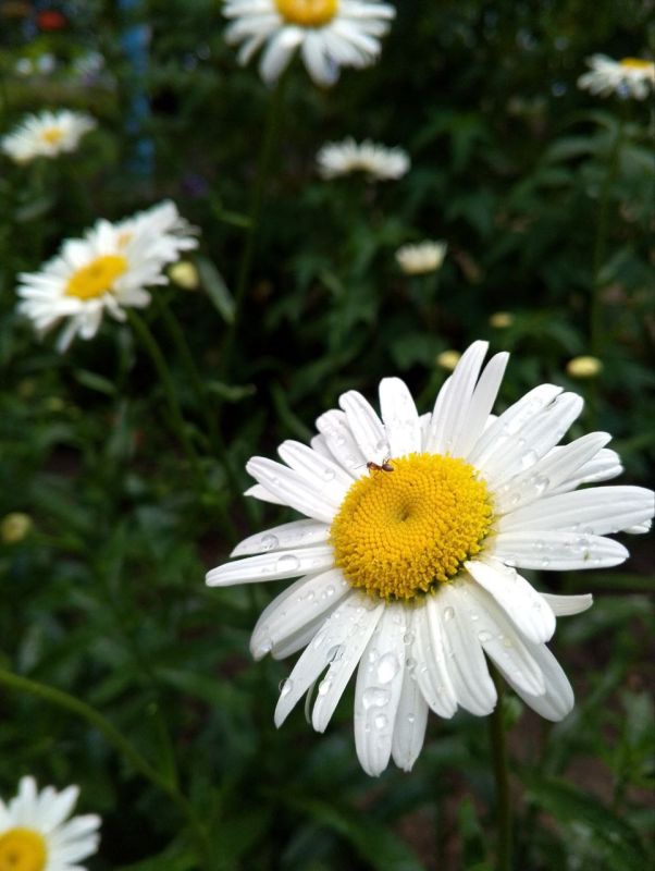С добрым утром, Севастополь!