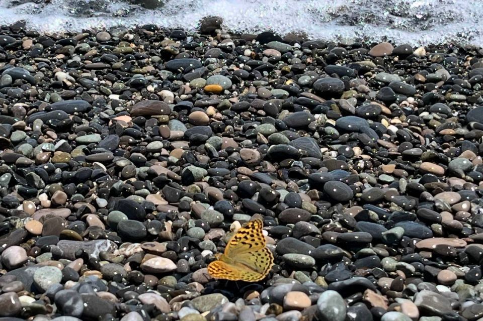 Доброго утра!. В Севастополе во вторник ветер днем западный 5-10м/с