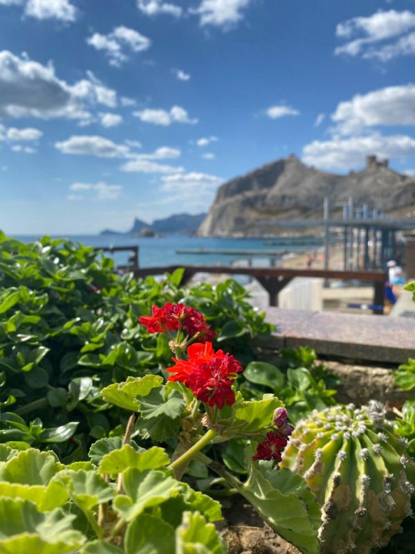 Прогноз погоды в Крыму на 8 июля