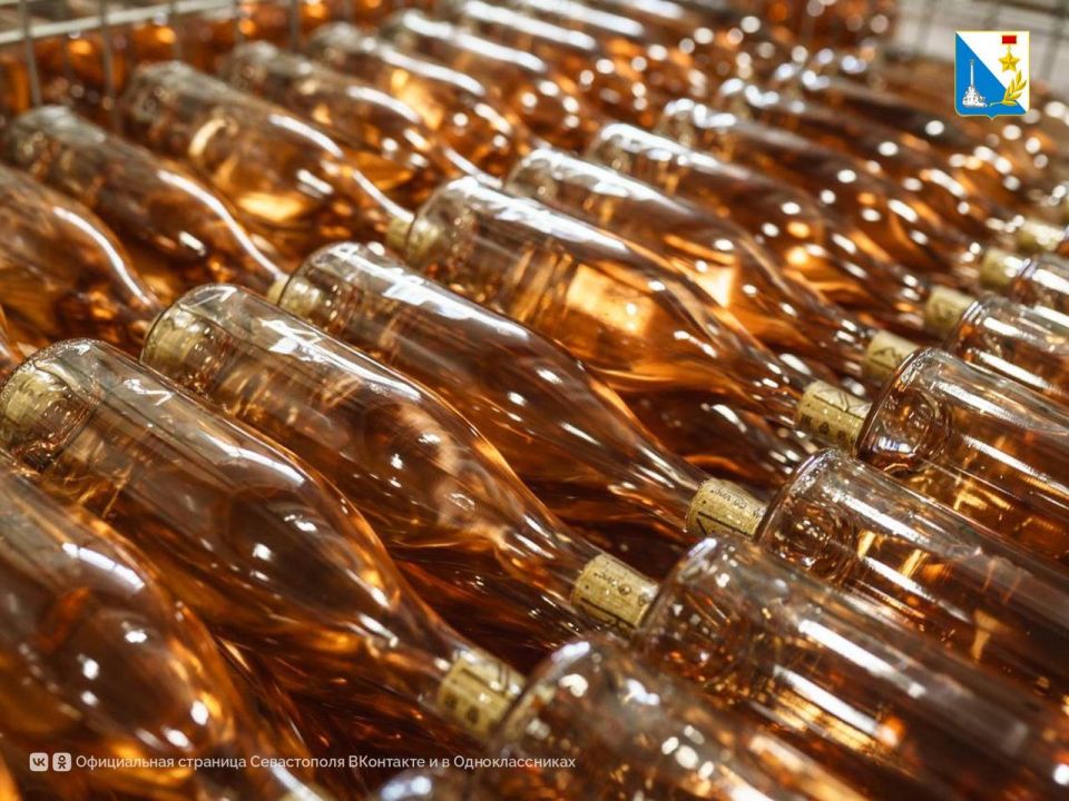 � ����������� ��������� ���������� AYA URBAN WINERY