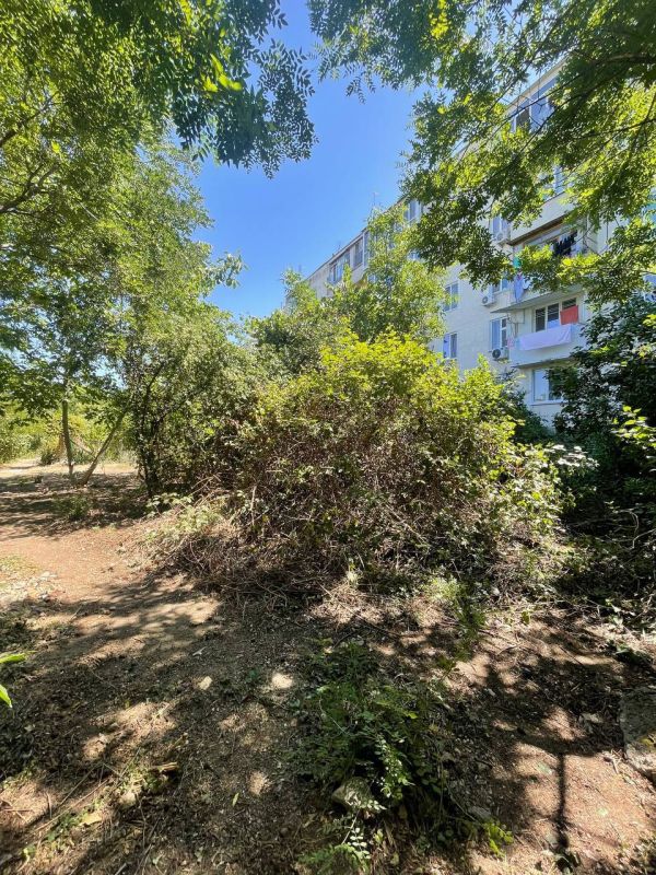 � ������ ������������ ��������� � ��� ����� �� ������� ���������� ������� ���������� ������ ������������� ���� � 12 � �� ��. �������� ����������� ��������� ������������ ������ �� �������, ��������� ���������� �������������...