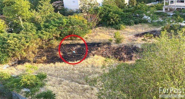 ���������� ��������� �� �������� � ����������� ���� ��� �������