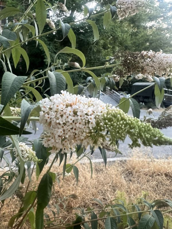 #��� �� ��������?. ���� �������������� ��������� �������� "�������� ��� �������"