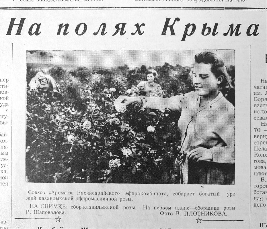   .               1952 