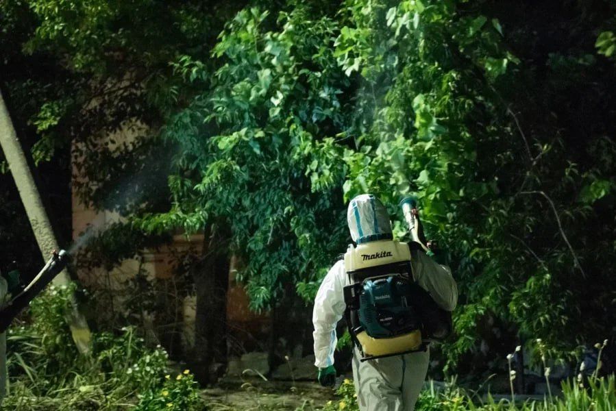 ����� � ����������� ������������ ������� �� ����������