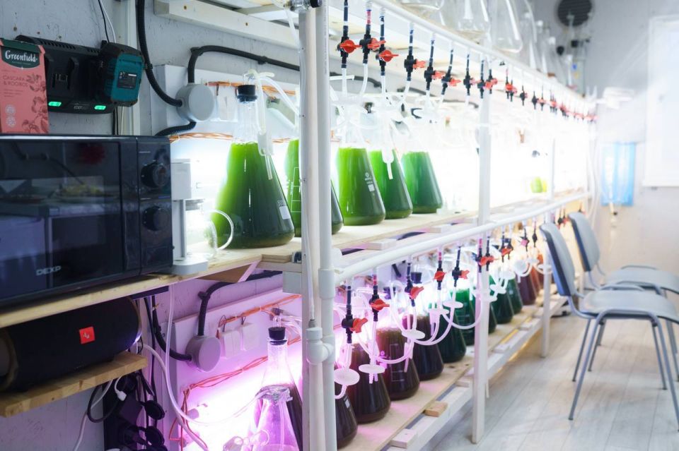 ���� ���: ������ ��������� � ������� ������� ����������� � ���������������� �������