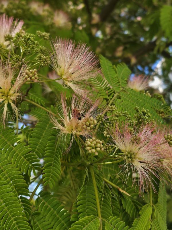 Доброго утра, друзья!. В Севастополе малооблачно