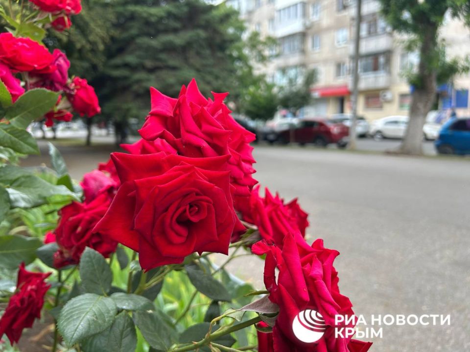 Прогноз погоды в Крыму на среду