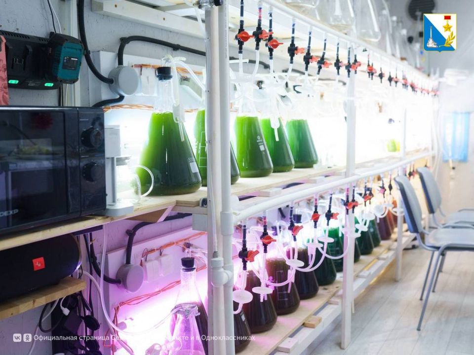 ��������� ������. ������ ��������� � ������� ����� � ������� ����������� ������� ������� ����������� � ����������� ��������� �������� ����� ����� � ������� ���������� ������ �������� � ��������� ������� ��������������: �...