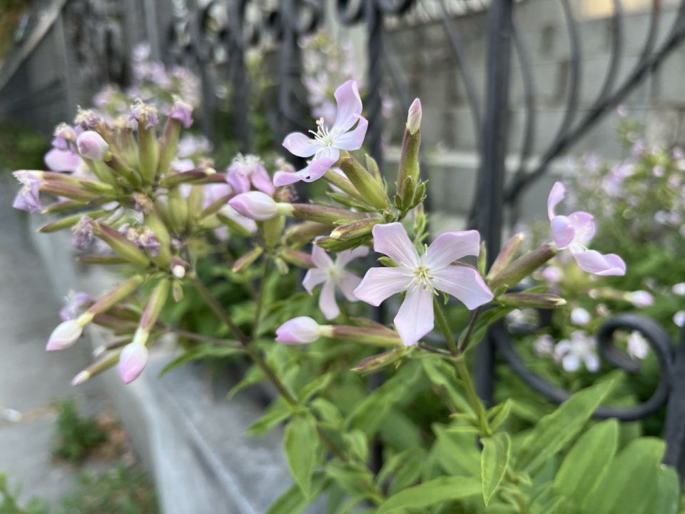 #��� �� ��������?. ��� ������ ����-������� ������ ������� � ��������� ������� ��������, � ���� ��������� ������ � ���� � �������� ������ ���� � �������� �������