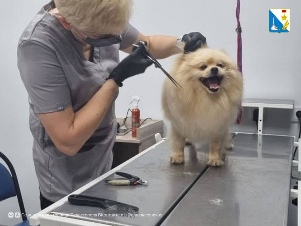 ������ �� ��������� � �������� ��������