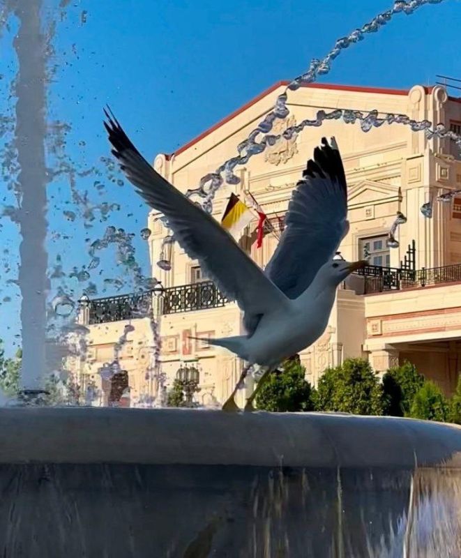 ������� ����!. � ����������� � ������� ����� �������� 5-10�/�