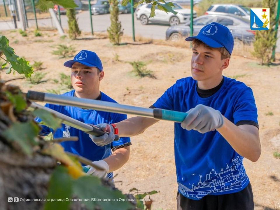 ������ ��������� � �������� ����