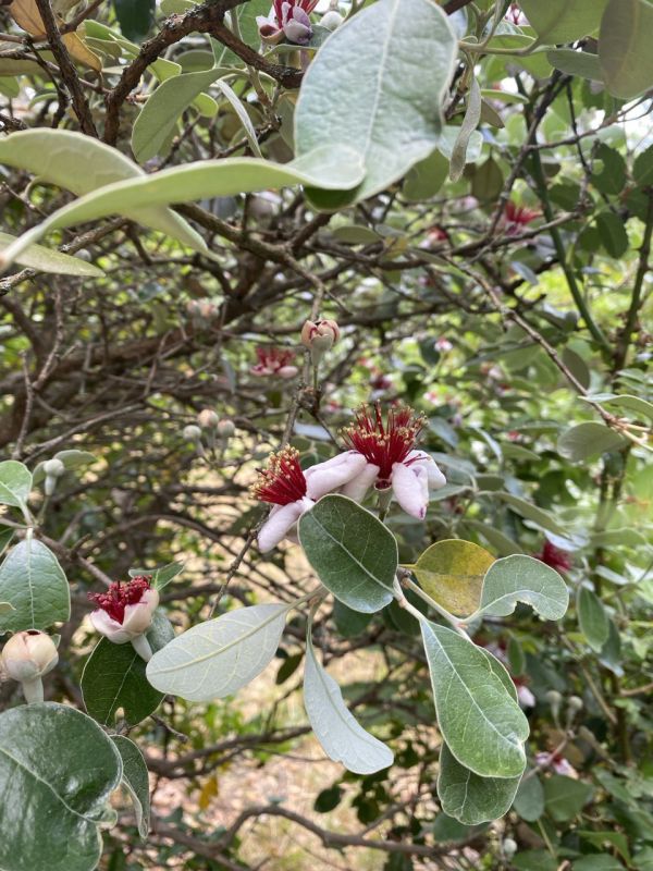 #��� ��� ������?. ���� ����,������ ��������� ������, ���� � ���� ������ � ����� ������ � � ��� ������ ���������� ������ ������ � ������ �������� ������� � ���������