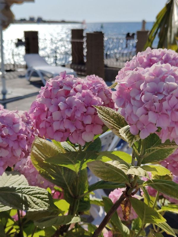 ���� ������ �������. � ����������� ��� �������