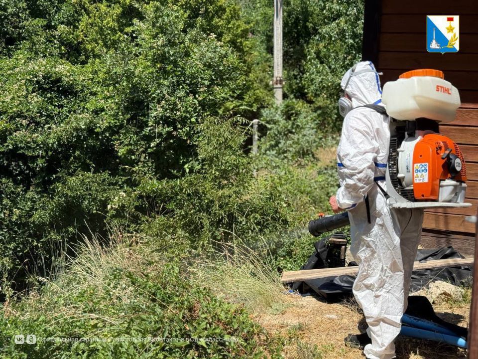 ���������� ������� ����� ��������� ���������� �� ������ ����������� ����� ������