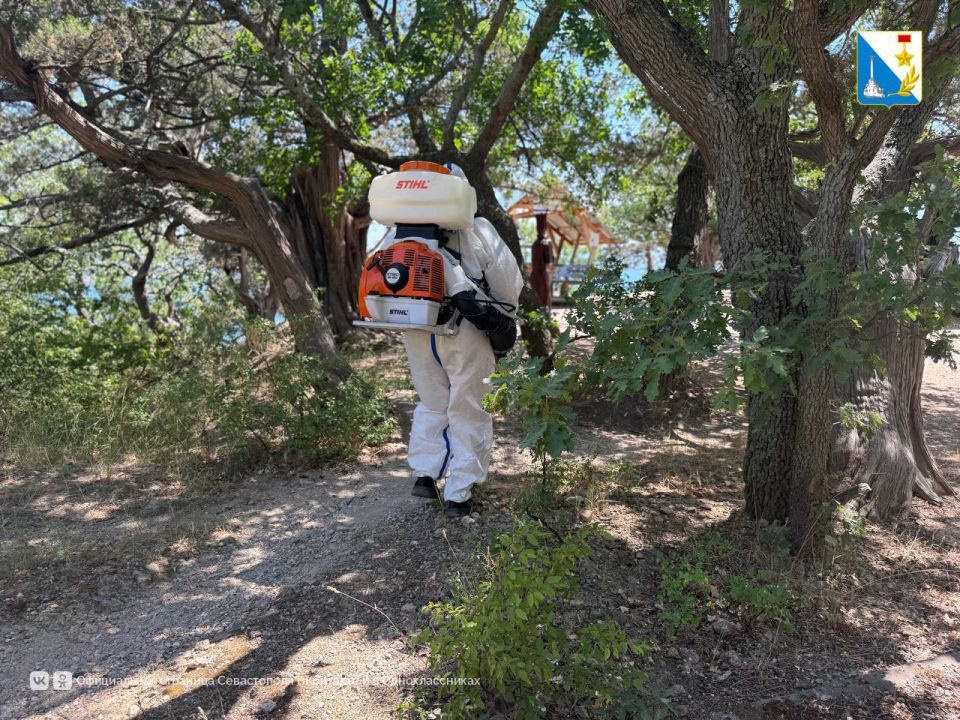 ���������� ������� ����� ��������� ���������� �� ������ ����������� ����� ������